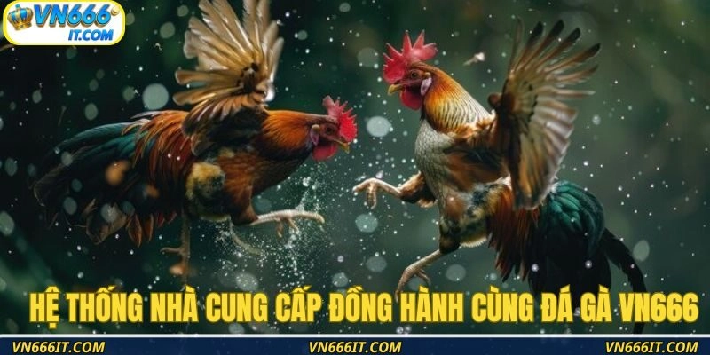 Hệ thống nhà cung cấp đồng hành cùng đá gà VN666