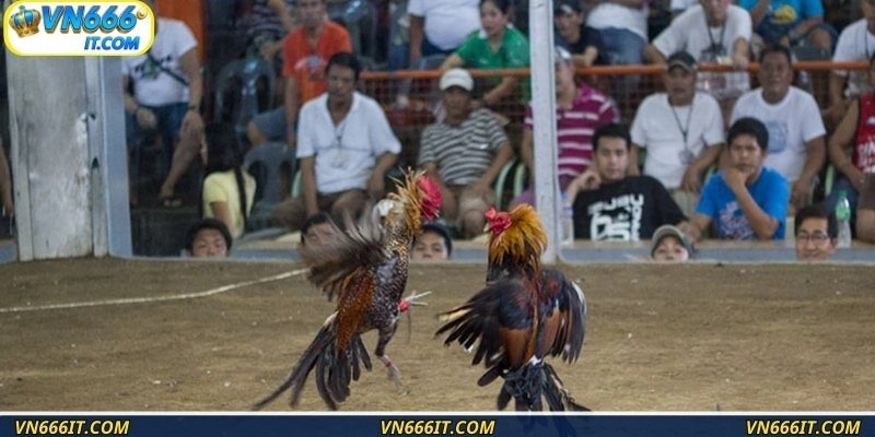 Kèo cá cược dành cho dân yêu thích truyền thống