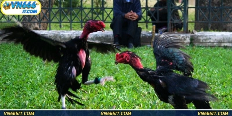 Tinh hoa truyền thống và kỹ thuật đỉnh cao hòa quyện