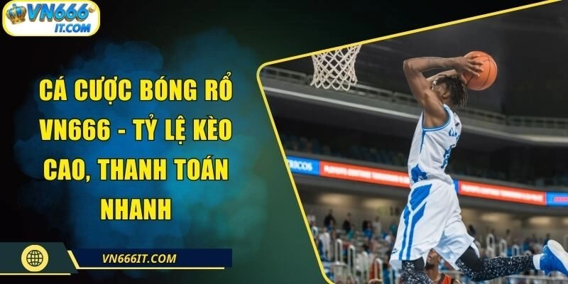 Cá Cược Bóng Rổ VN666 – Tỷ Lệ Kèo Cao, Thanh Toán Nhanh