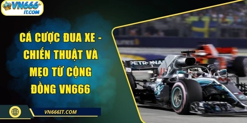 Cá Cược Đua Xe – Chiến Thuật Và Mẹo Từ Cộng Đồng VN666