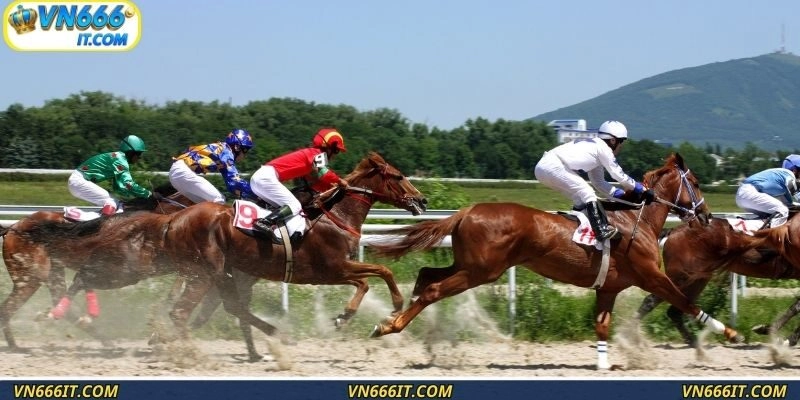 Cá cược tốc độ, kịch tính và mãn nhãn từng pha bứt tốc