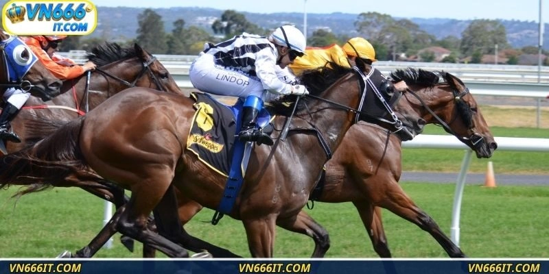 Đa dạng danh sách kèo cược hấp dẫn, dễ chơi dễ thắng