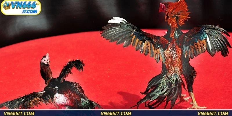 Hệ thống luôn nâng cấp trải nghiệm người dùng thường xuyên