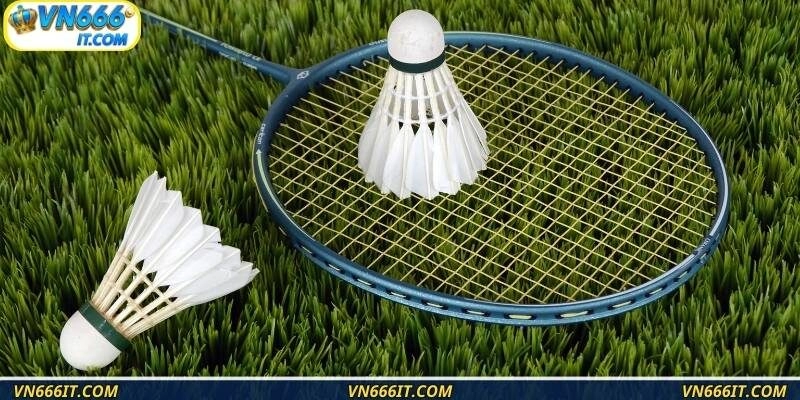 Nét thu hút đặc biệt của tựa game cá cược cầu lông