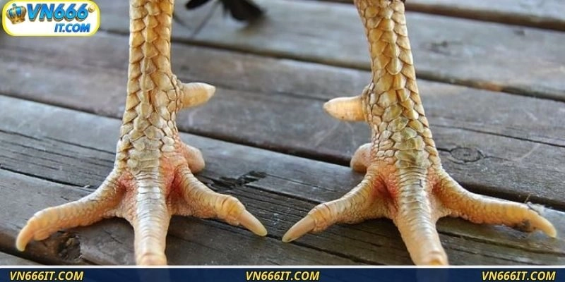 Những đặc điểm nhận diện bộ vảy quý