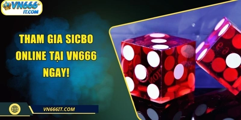 VN666 Mang Đến Sicbo Online Uy Tín, Tỷ Lệ Thắng Cao