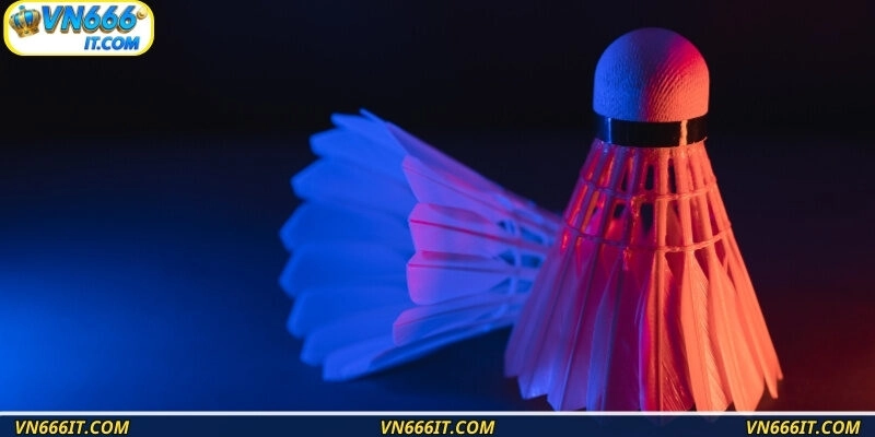 Theo dõi và xem lại các giải đấu hấp dẫn từ trước đến nay