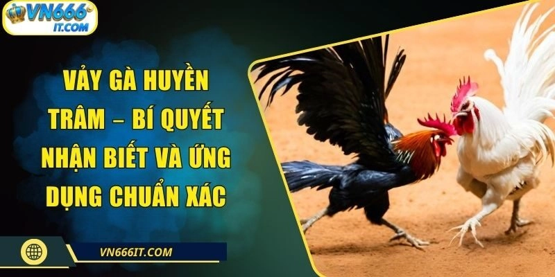 Vảy Gà Huyền Trâm – Bí Quyết Nhận Biết Và Ứng Dụng Chuẩn Xác