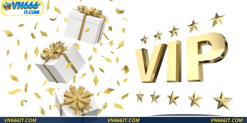 VN666 ưu đãi thành viên VIP là đặc quyền không thể bỏ qua